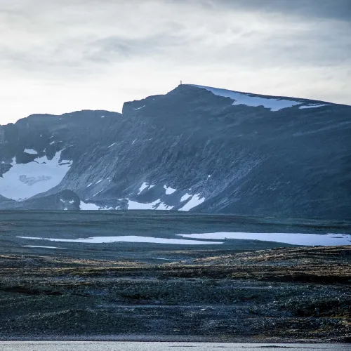 Snøhetta på Dovrefjell