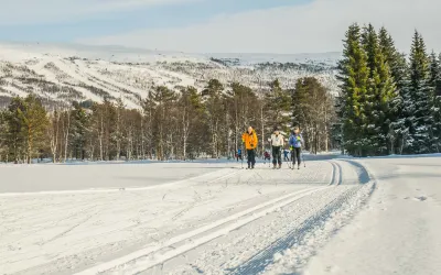 Lesja Bjorli