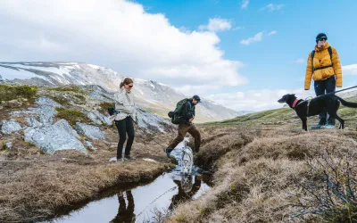 Guida tur med dovreguiden