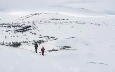 Langranden på Dovrefjell