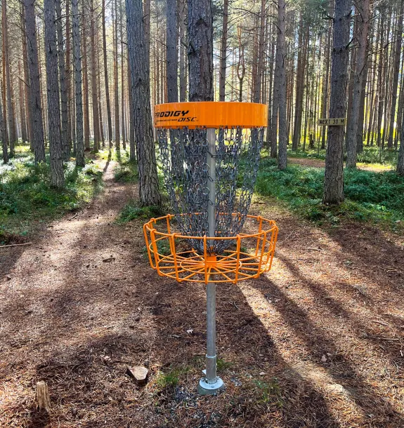 Discgolf