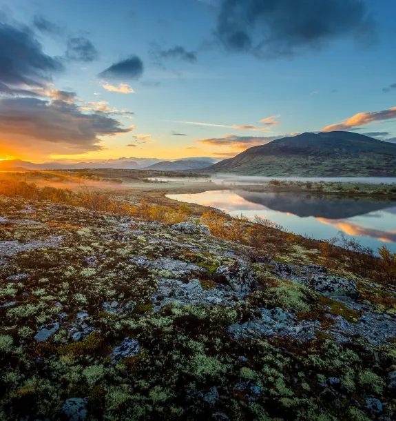 Høst rondane