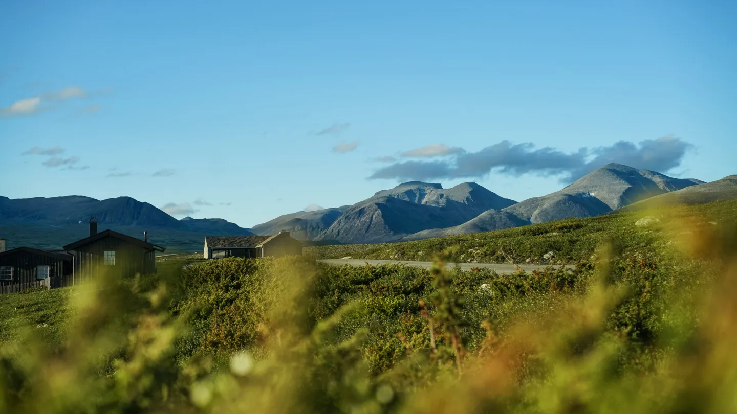 Rondane Nasjonalpark