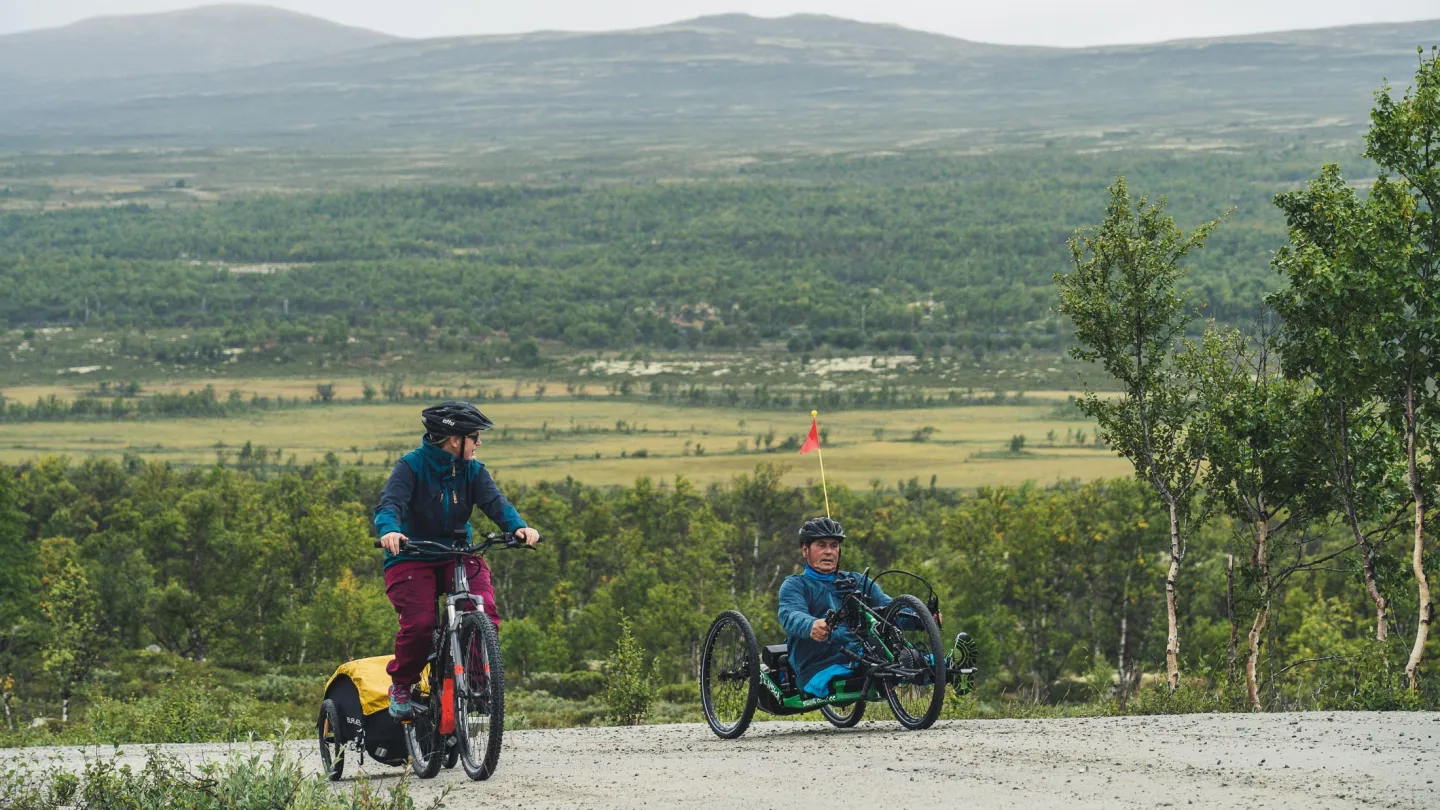 Sykkel på Dovrefjell