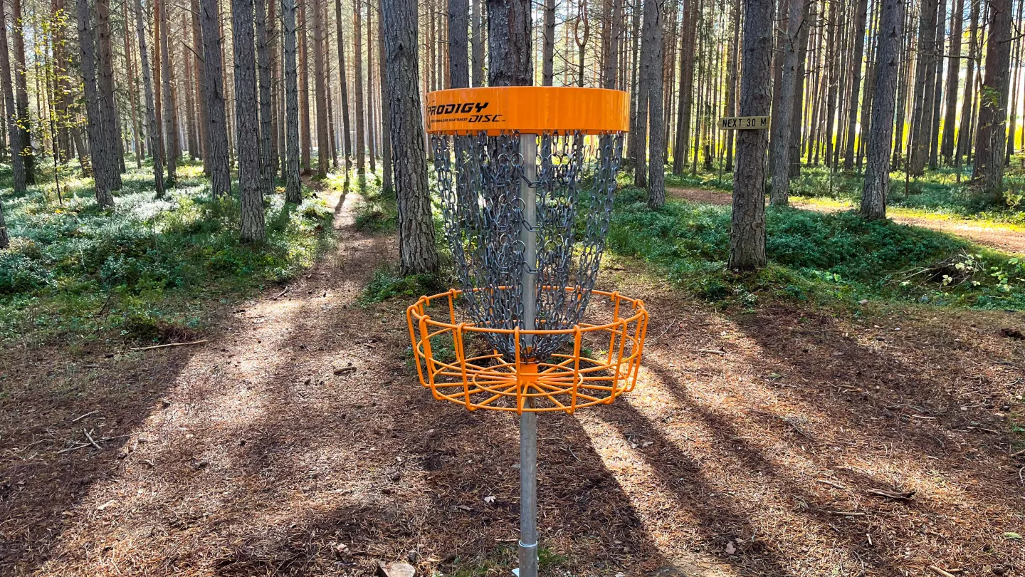 Discgolf