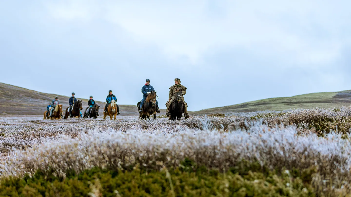 Hesteridning i Jotunheimen