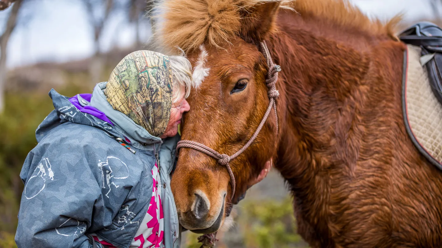 Hest