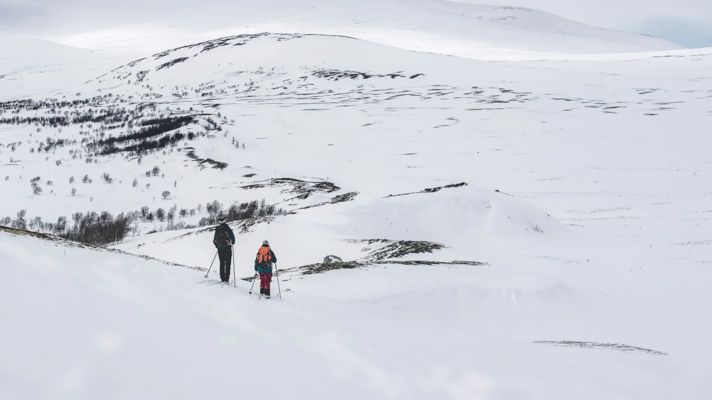 Langranden på Dovrefjell