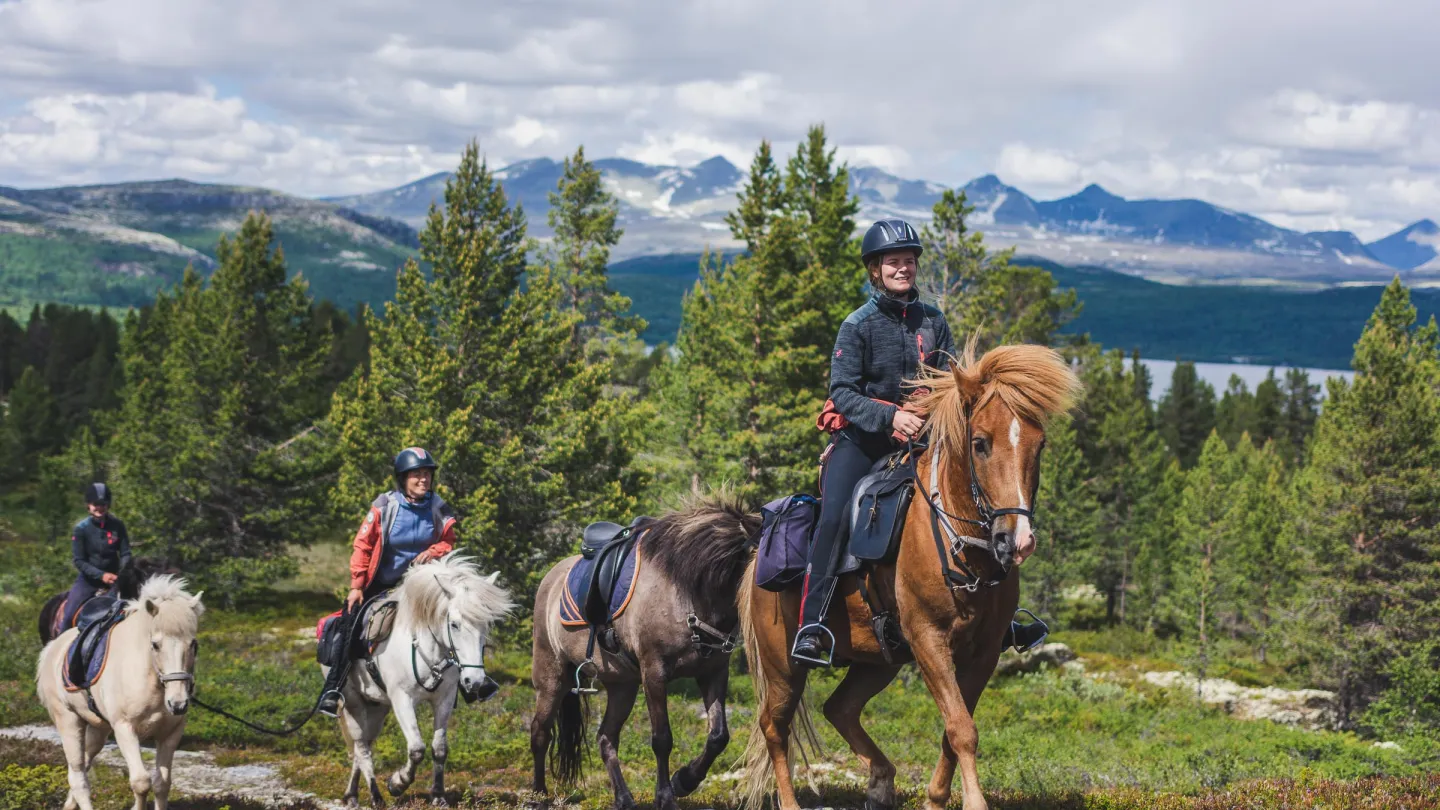 Hesteridning i Rondane