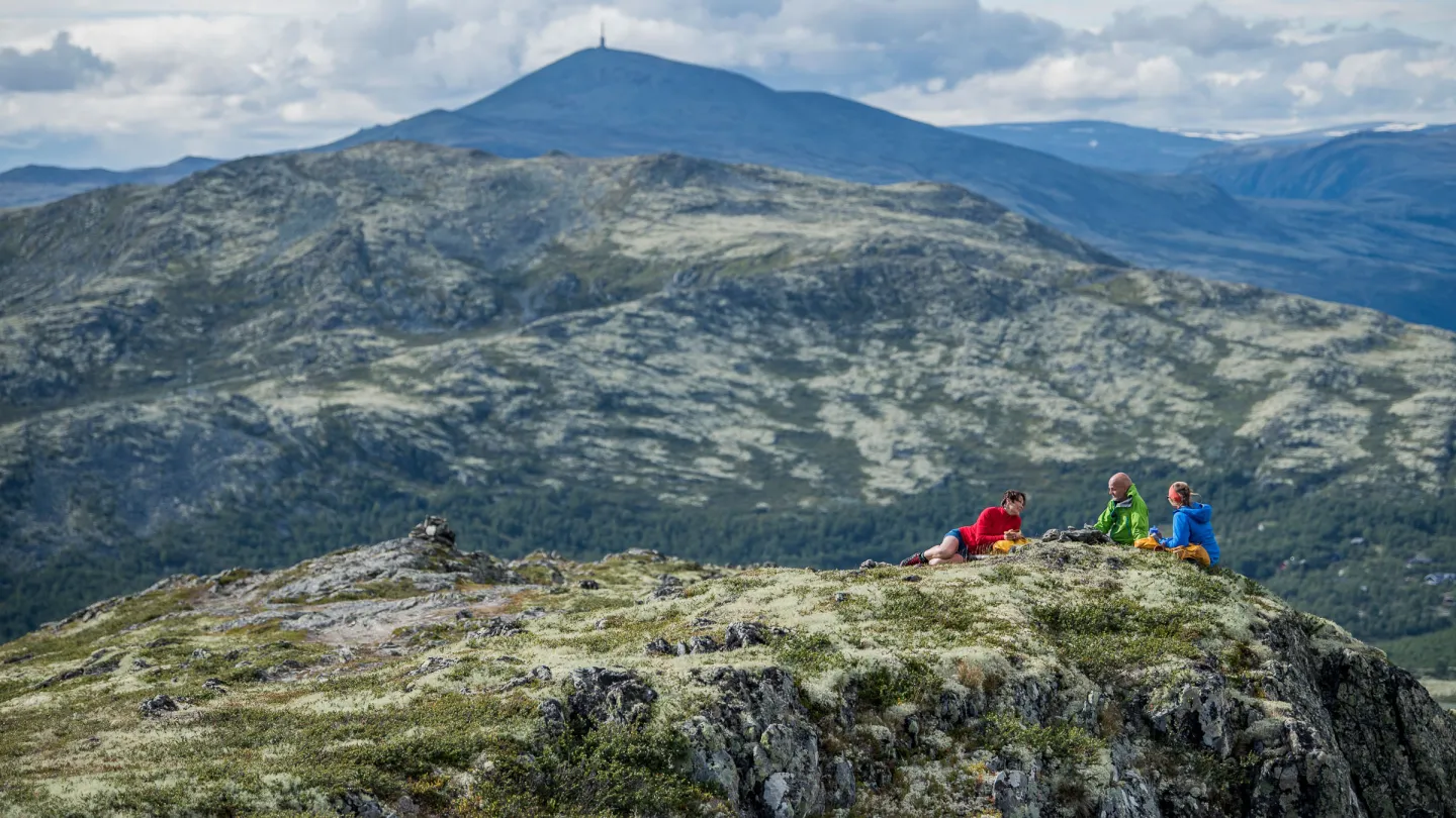 Formokampen Høvringen