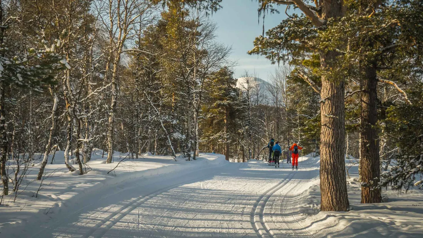 Skiløyper på Bjorli