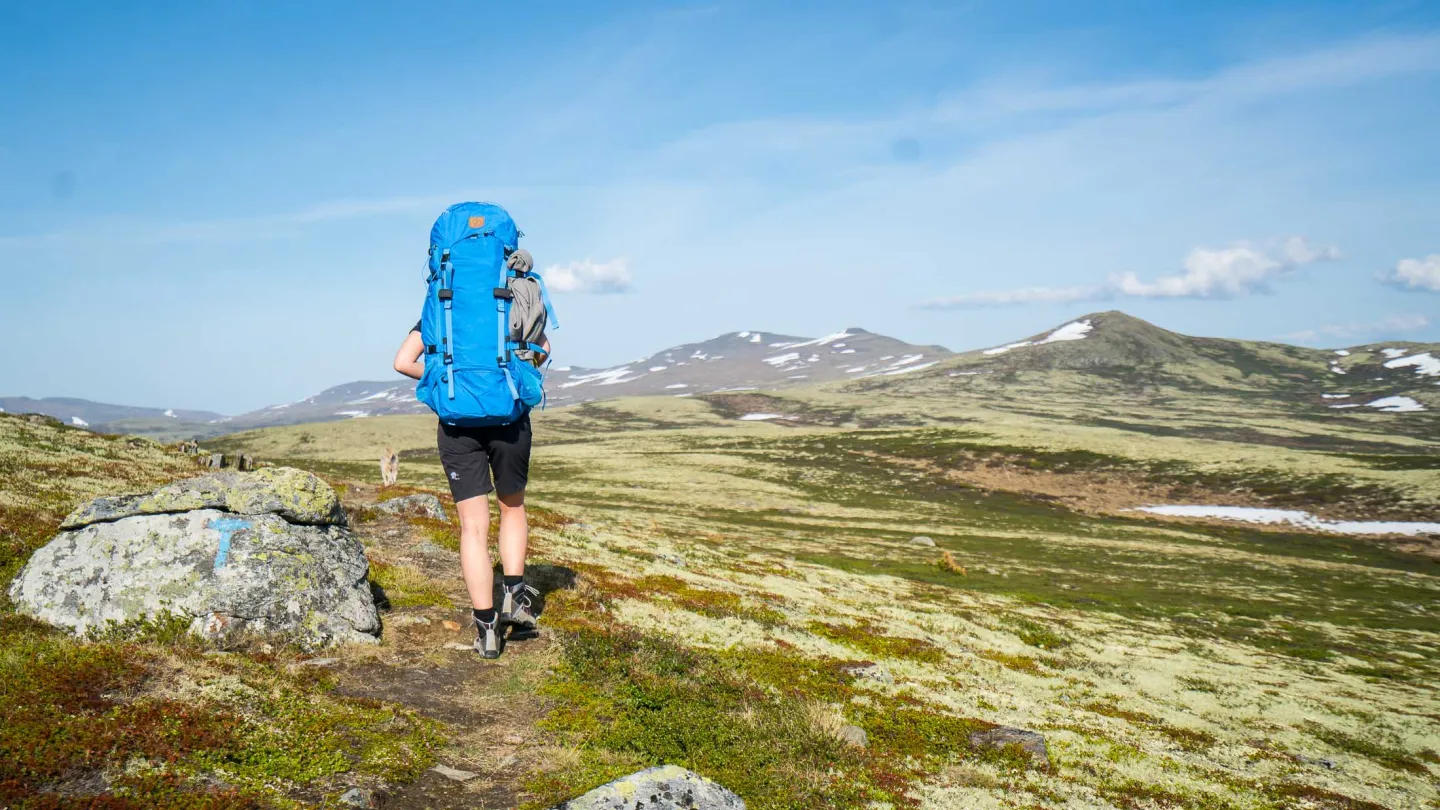 Fjelltur på Dovrefjell